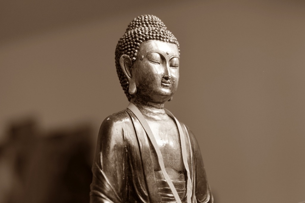 Zen on Wheels: Exploring Buddhist Philosophy through the Art of BMX